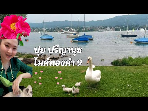 ปุยปรีญานุช-ไมค์ทองคำ9-แต่งหน้ ปุยปรีญานุช-ไมค์ทองคำ9-แต่งหน้