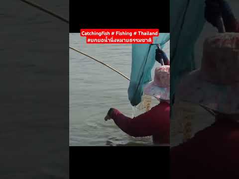 CatchingfishFishingThaiwa