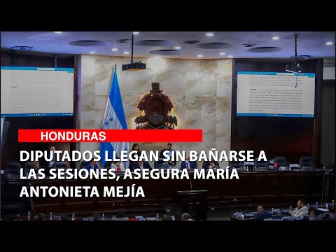 Diputados llegan sin bañarse a las sesiones, asegura María Antonieta Mejía