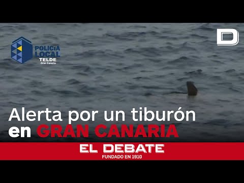 Cierran una playa de Gran Canaria por la presencia de un tiburón