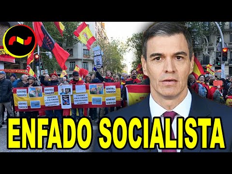 Socialistas EXPLOTAN contra Sánchez por SALTARSE los Estatutos del PSOE