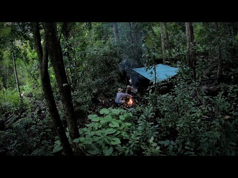 นอนป่า-ตามหาไร่ร้าง-กลางป่าดิบ นอนป่า-ตามหาไร่ร้าง-กลางป่าดิบ