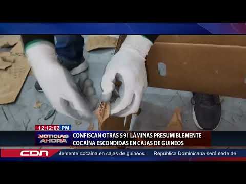 Confiscan otras 591 láminas presumiblemente cocaína escondidas en cajas de guineos