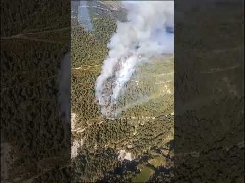 Controlado un incendio en Sabiñánigo causado por una línea eléctrica