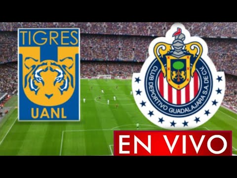 Donde ver Tigres vs. Chivas en vivo, partido de vuelta La Final, Liga MX Femenil 2021