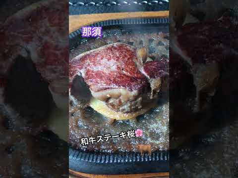 【和牛ステーキ】肉汁がじゅっー！でヤバ過ぎw　#和牛 #wagyu  #那須 #ステーキ #steakburger