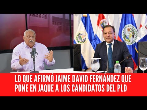 LO QUE AFIRMÓ JAIME DAVID FERNÁNDEZ QUE PONE EN JAQUE A LOS CANDIDATOS DEL PLD
