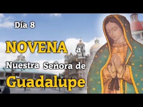 Día 8 de la Novena a Nuestra Señora de Guadalupe 2022