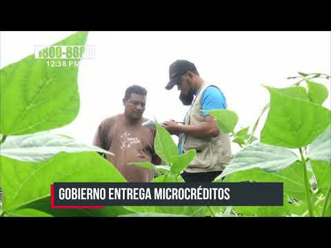 Microcréditos brindan más oportunidades a familias de Estelí - Nicaragua