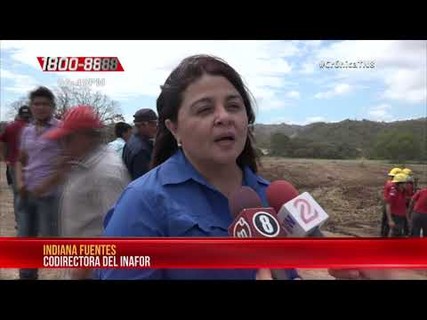 Rivas presenta plan nacional contra incendios forestales 2020 – Nicaragua