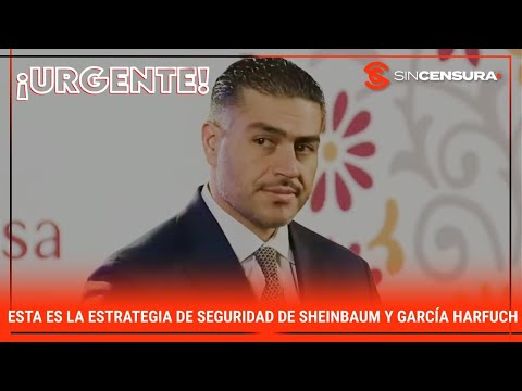 URGENTE: Esta es la #EstrategiadeSeguridad de #Sheinbaum y #GarciaHarfuch