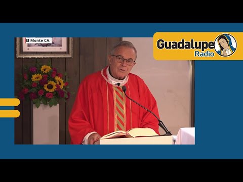 ¿Qué nos dice hoy la palabra de Dios?