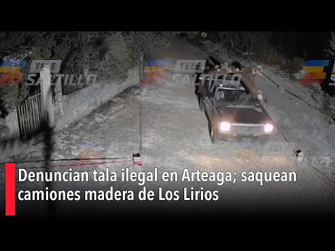 Denuncian tala ilegal en Arteaga; saquean camiones madera de Los Lirios