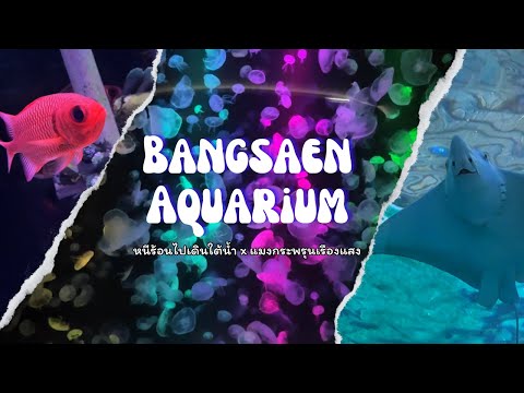 อควาเรียมบางแสน🐠BangsaenAqua