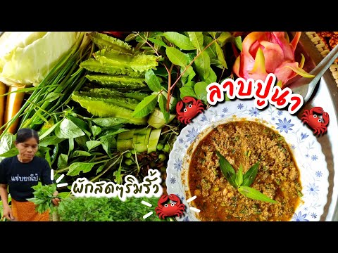 EP184ลาบปูนา-กินกับผักเยอะๆ-บอ EP184ลาบปูนา-กินกับผักเยอะๆ-บอ