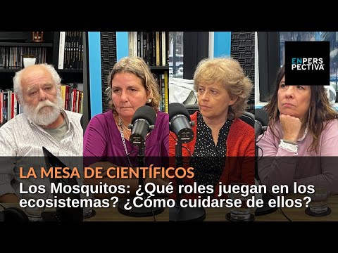 Los mosquitos: ¿Qué roles juegan en los ecosistemas? ¿Cómo cuidarse de ellos?