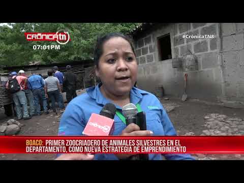 Inauguran zoocriadero de guatusas El Porvenir en Boaco – Nicaragua