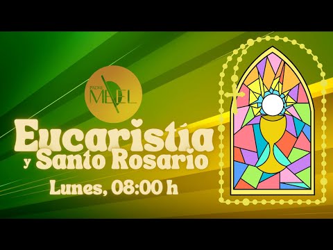 Eucaristía en la fiesta de Santa María Magdalena y Santo Rosario, 22 de julio de 2024.