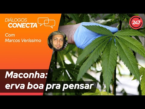 Diálogos Conecta - Maconha: erva boa pra pensar, com Marcos Veríssimo