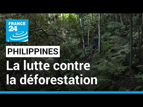 Face à la déforestation, les gardes forestiers philippins risquent leur vie • FRANCE 24