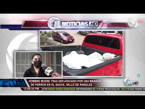Once Noticias | Hombre muere tras ser atacado por una manada de perros en El Sauce, Valle de Ángeles