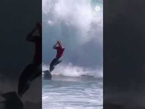 Un grupo de delfines acompaña y aúpa a la victoria a una surfista hawaiana en Australia