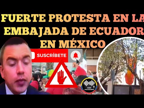 FUERTE MANIFESTACIÓN EN LA EMBAJADA DE ECUADOR EN MÉXICO EN RECHAZO DE NOBOA NOTICIAS RFE TV
