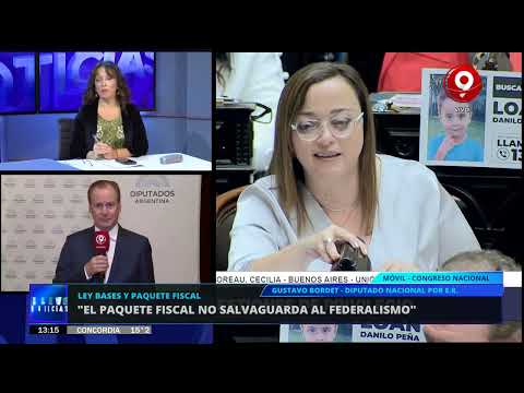 Ley Bases en Diputados: la opinión de Gustavo Bordet