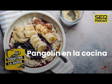 TodoPorLaRadio | Pangolín en la cocina