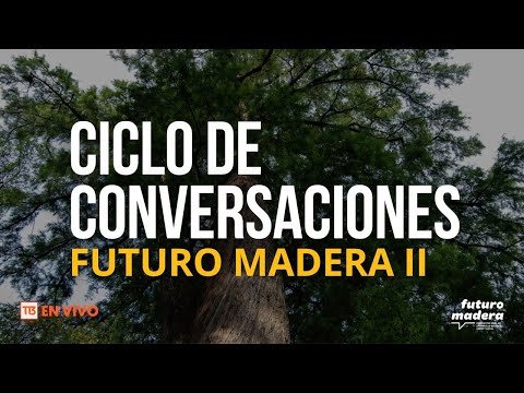 Futuro Madera II: ciclo de conversaciones