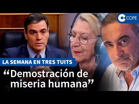 Rosa Díez arremete contra Sánchez: Es un incompetente