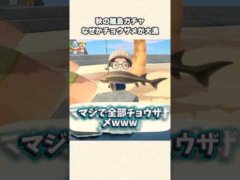 【あつ森】レアザメ大漁！秋の離島ガチャで何故かゲットできるレアな鮫【あつまれどうぶつの森】#shorts #あつ森