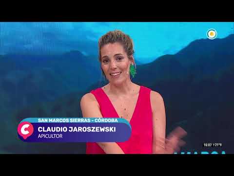 Programa Especial: Las leonas celebran sus 20 años - Todos Estamos Conectados