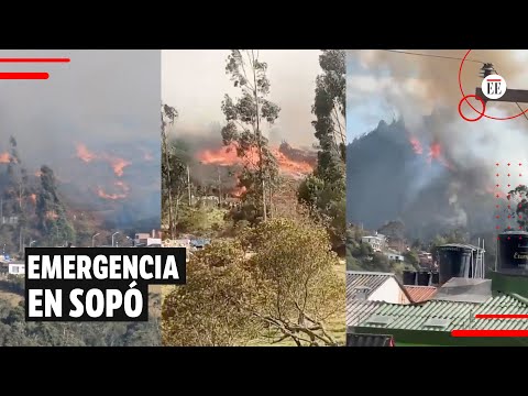 Incendio en Sopó: la conflagración se presenta cerca a zonas urbanas | El Espectador