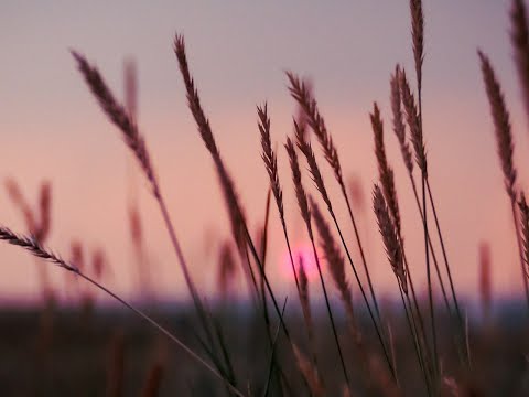 Fiesta de San Bartolomé - Reflexión desde el Evangelio con un texto de Teresa de Jesús