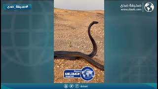 إبعد عن الشر