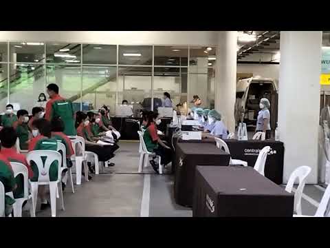 บรรยากาศการรับวัคซีนpfizerของเ บรรยากาศการรับวัคซีนpfizerของเ