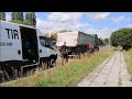 Koniec klocków,  zdarta opona i zepsuty zacisk