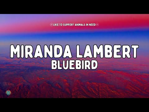 Miranda Lambert - Bluebird