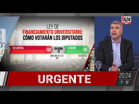 MILEI CONSEGUIRÍA BLINDAR EL VETO AL PRESUPUESTO UNIVERSITARIO