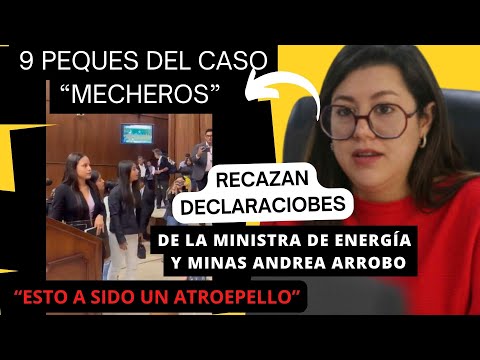 Jovenes del Caso Mecheros rechazan declaraciones de Ministra de Energía y Minas: 'Un atropello'
