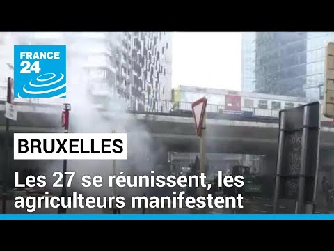 A Bruxelles, les ministres de l'Agriculture de l'UE se réunissent, les agriculteurs manifestent