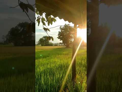 วิวหลักล้าน-บรรยากาศท้องทุ่งนา วิวหลักล้าน-บรรยากาศท้องทุ่งนา