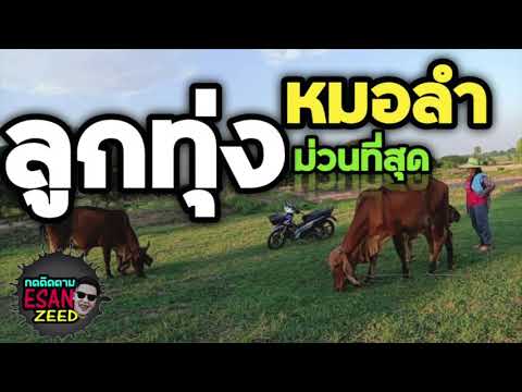 รวมเพลงม่วนที่สุด-ลูกทุ่งหมอลำ รวมเพลงม่วนที่สุด-ลูกทุ่งหมอลำ
