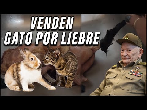 General Guillermo García Frías vende gato por conejo según expone cubana?