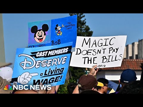 ‘Not the happiest place’: Disney cast members demand fair wages