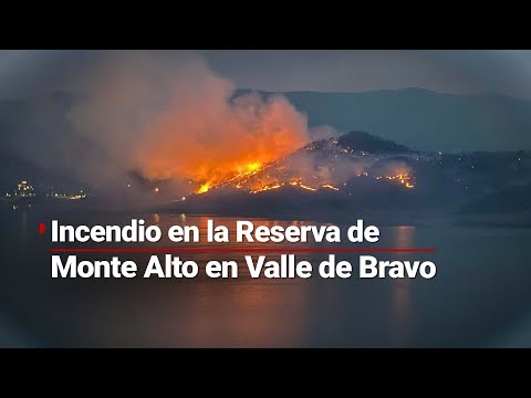 ¡Nuevo incendio en la Reserva de Monte Alto! Los otros 4 registrados ya están controlados