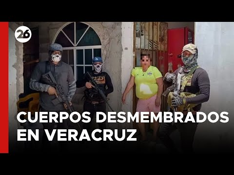 MÉXICO | ¿Quién está detrás de los cuerpos desmembrados en Veracruz?