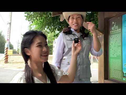 暢遊台61 賞鳥生態樂無窮