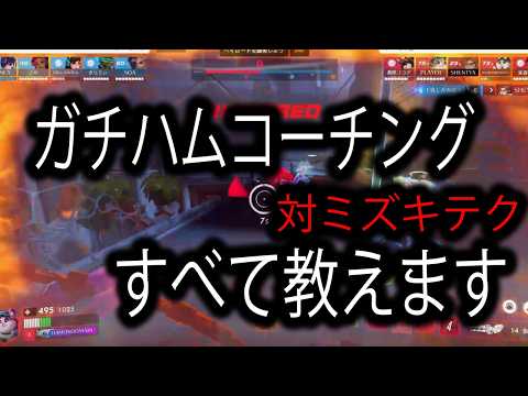 ハムコーチング!!対ミズキの㊙テク【レッキングボール】【オーバーウォッチ2】